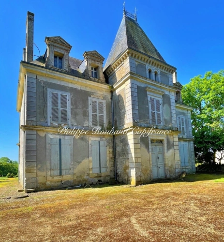 Photos 3 - Prestige - Château du XVIIᵉ siècle à vendre, 17 pièces, FOUSSAIS PAYRE (85)