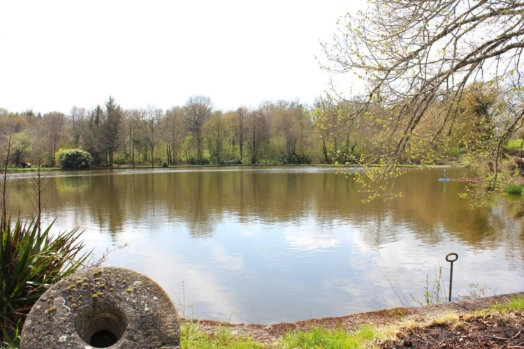 Photos 5 - Prestige - Propriété