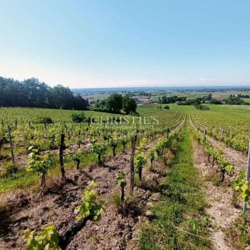 Photos 1 - Viticole - Terroir très qualitatif, Agriculture Biologique, 8 ha de vigne, 2 maisons, chai