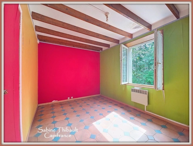 Photos 6 - Foncière - Dpt Indre-et-Loire (37) A vendre CHATEAU LA VALLIERE Terrain de loisir avec étang