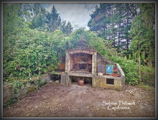 Photos 8 - Foncière - Dpt Indre-et-Loire (37) A vendre CHATEAU LA VALLIERE Terrain de loisir avec étang