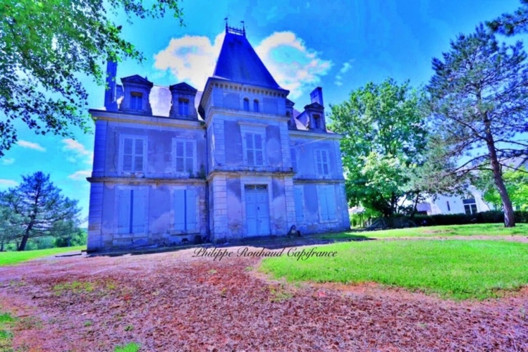 Photos 2 - Prestige - Château du XVIIᵉ siècle à vendre, 17 pièces, FOUSSAIS PAYRE (85)
