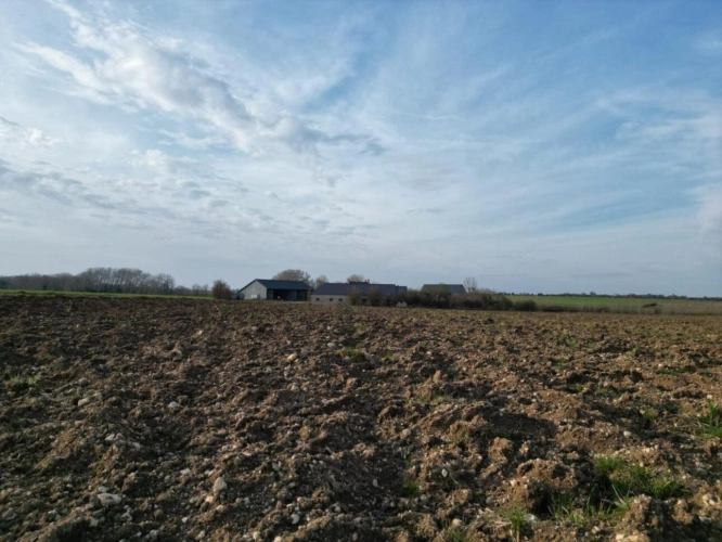 Photos 7 - Agricole - Exploitation céréalière occupée située en Champagne Berricho