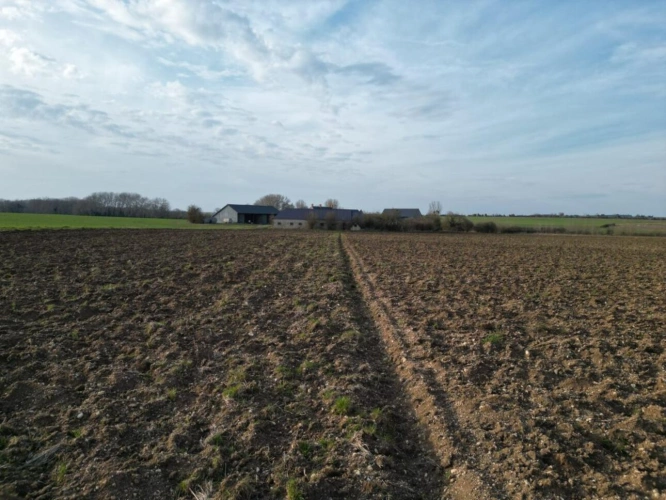 Photos 13 - Agricole - Exploitation céréalière occupée située en Champagne Berricho