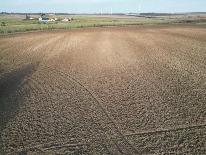 Photos 15 - Agricole - Exploitation céréalière occupée située en Champagne Berricho