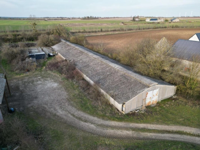 Photos 17 - Agricole - Exploitation céréalière occupée située en Champagne Berricho