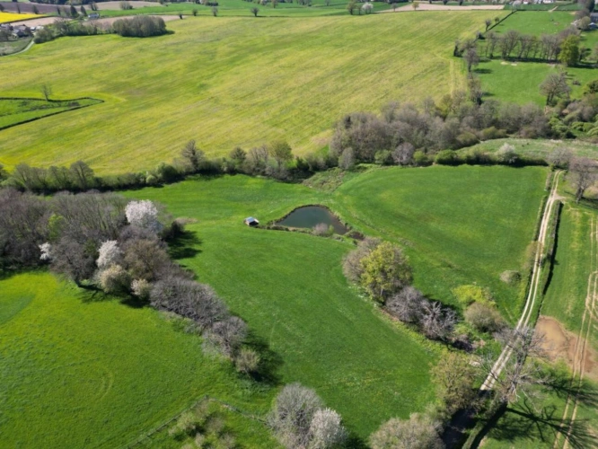 Photos 2 - Équestre - Superbe propriété rurale sur 06 hectares 9469 avec une maiso