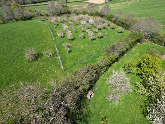 Photos 13 - Équestre - Superbe propriété rurale sur 06 hectares 9469 avec une maiso