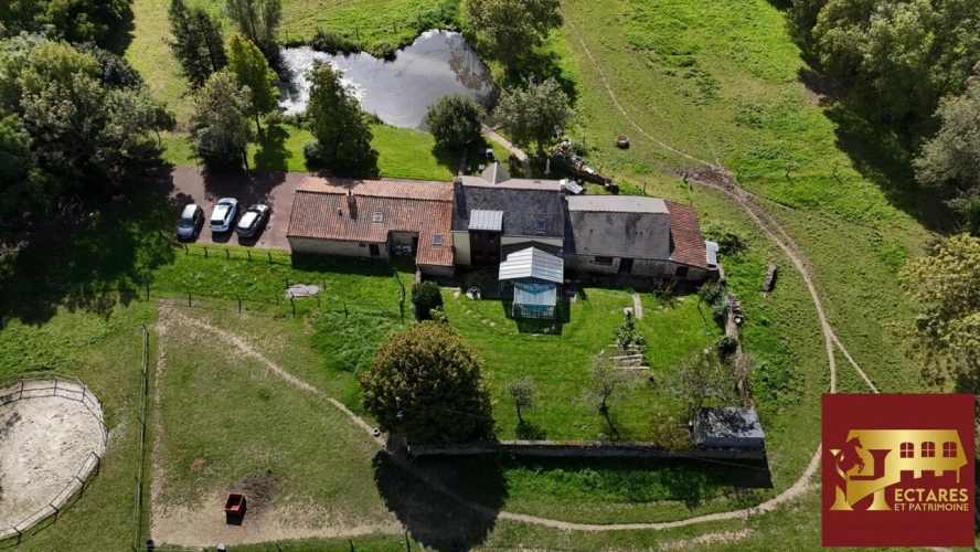 Photos 6 - Équestre - Maison Saint Etienne De Montluc 5ch de178 m2 sur 2 hectares