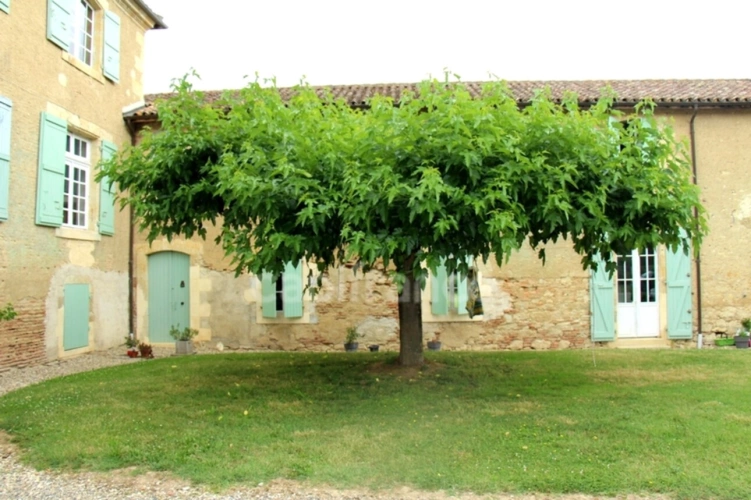 Photos 3 - Prestige - Propriete à vendre 15 pièces proche de FLEURANCE (32)
