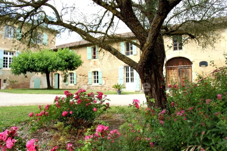 Photos 4 - Prestige - Propriete à vendre 15 pièces proche de FLEURANCE (32)