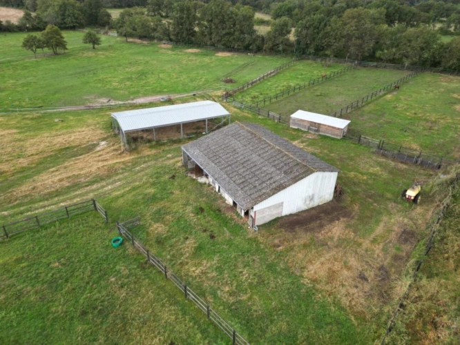 Photos 4 - Équestre - Petite propriété   5,48 ha avec 2 hangars en Brenne