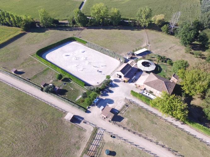Photos 11 - Équestre - Propriété équestre de 5 hectares (82)