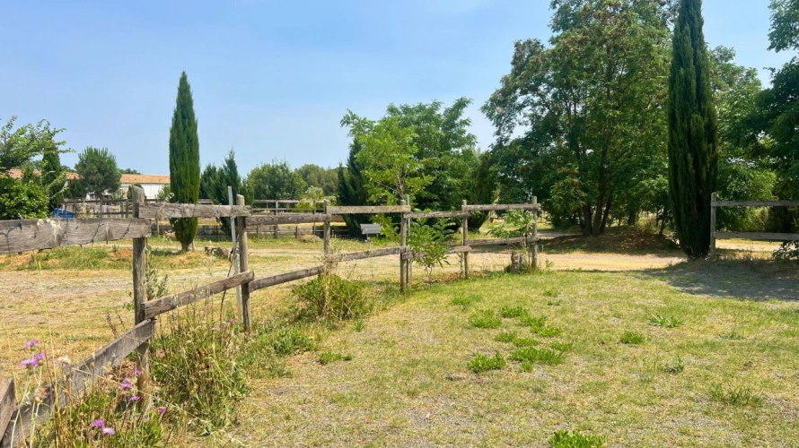 Photos 7 - Équestre - Propriété équestre de charme proche de Béziers et Pézenas (34)