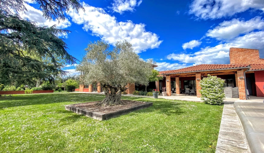 Photos 4 - Équestre - Un domaine prestigieux et unique en Tarn-et-Garonne (82)