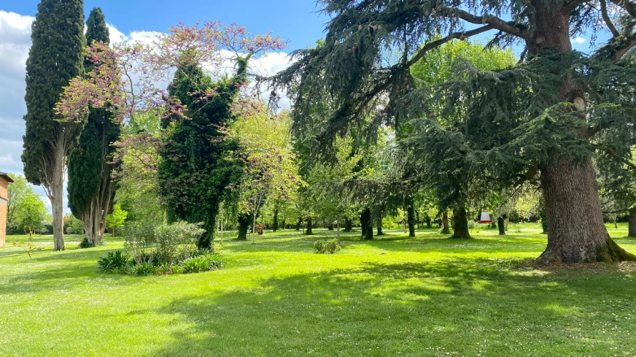 Photos 8 - Équestre - Un domaine prestigieux et unique en Tarn-et-Garonne (82)