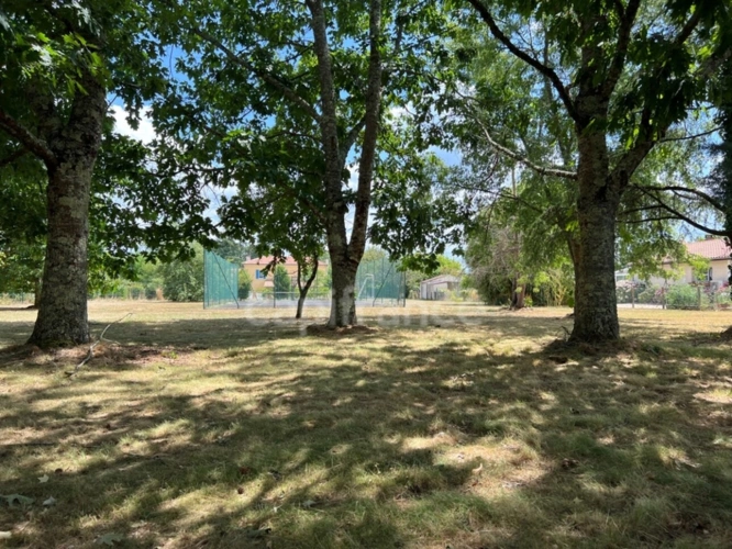 Photos 19 - Prestige - Demeure de charme XIXème 9 pièces de 255 m² avec piscine et terrain de tennis - Saint Aigulin (17)