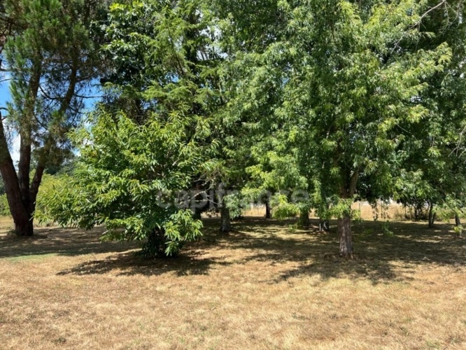 Photos 20 - Prestige - Demeure de charme XIXème 9 pièces de 255 m² avec piscine et terrain de tennis - Saint Aigulin (17)