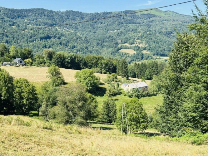 Photos 1 - Prestige - Propriété agricole