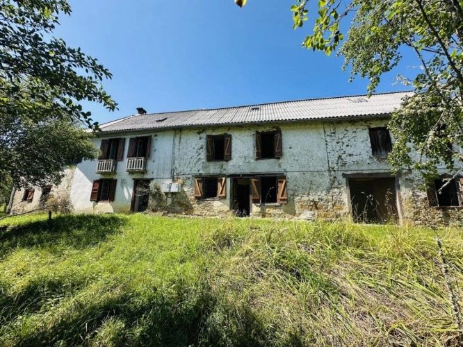 Photos 4 - Prestige - Propriété agricole
