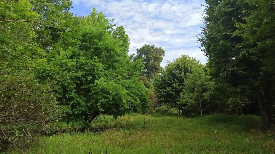 Photos 13 - Prestige - Ensemble Immobilier