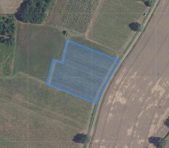 Photos 2 - Foncière - Terrain viticole à vendre   72 ares en AOC Châteaumeillant