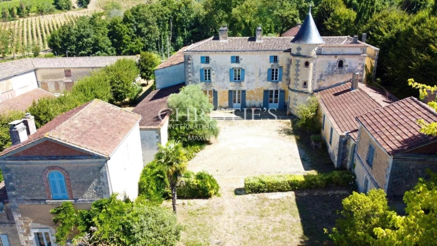 Photos 1 - Viticole - Chateau de caractère à rénover - Vignoble - Dépendances - Jolie parc - Calme et discret