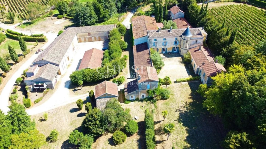 Photos 2 - Viticole - Chateau de caractère à rénover - Vignoble - Dépendances - Jolie parc - Calme et discret