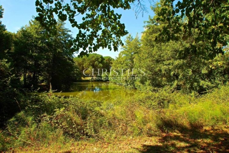 Photos 12 - Viticole - Chateau de caractère à rénover - Vignoble - Dépendances - Jolie parc - Calme et discret