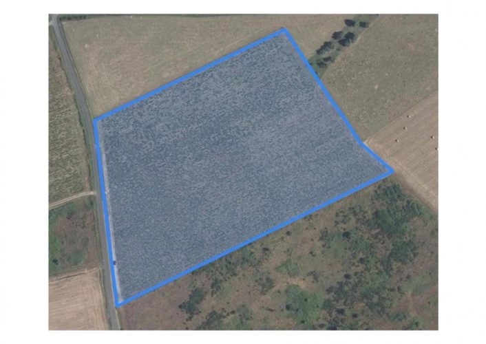 Photos 3 - Foncière - Terrains viticoles à vendre   3,19 ha en AOC Châteaumeillant