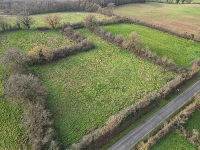 Photos 3 - Foncière - Prairie naturelle dans l'INDRE