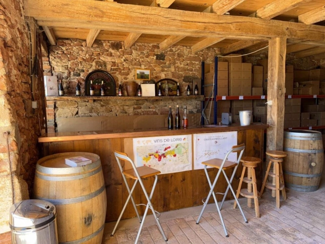 Photos 8 - Viticole - Domaine viticole d'exception à vendre   AOC Châteaumeillant