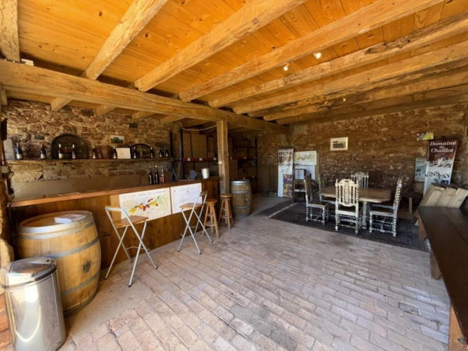 Photos 9 - Viticole - Domaine viticole d'exception à vendre   AOC Châteaumeillant
