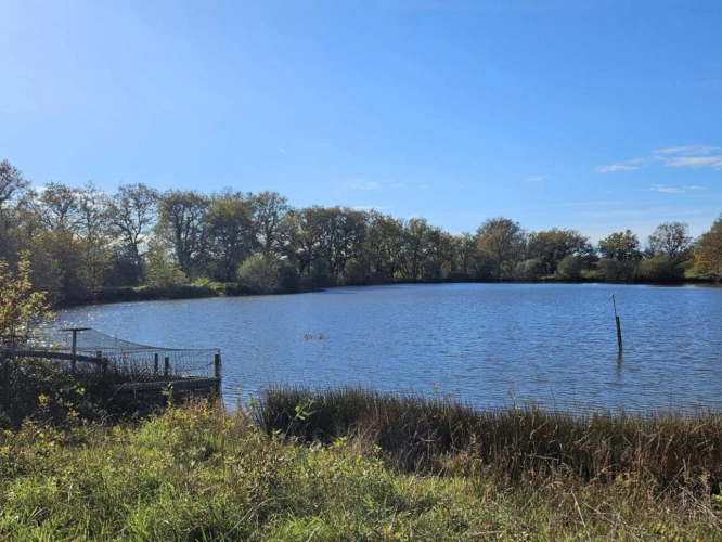 Photos 2 - Foncière - Bel étang en plein coeur de la Brenne