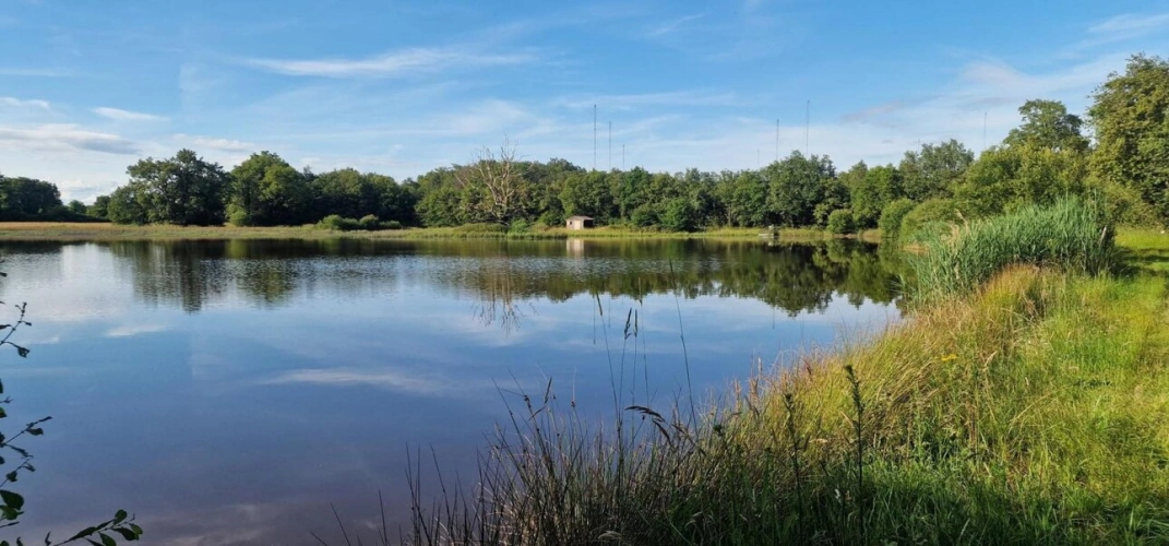 Photos 4 - Foncière - Bel étang en plein coeur de la Brenne