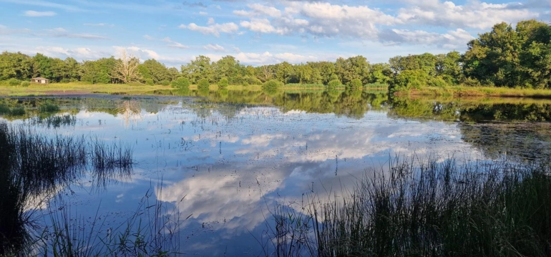 Photos 5 - Foncière - Bel étang en plein coeur de la Brenne