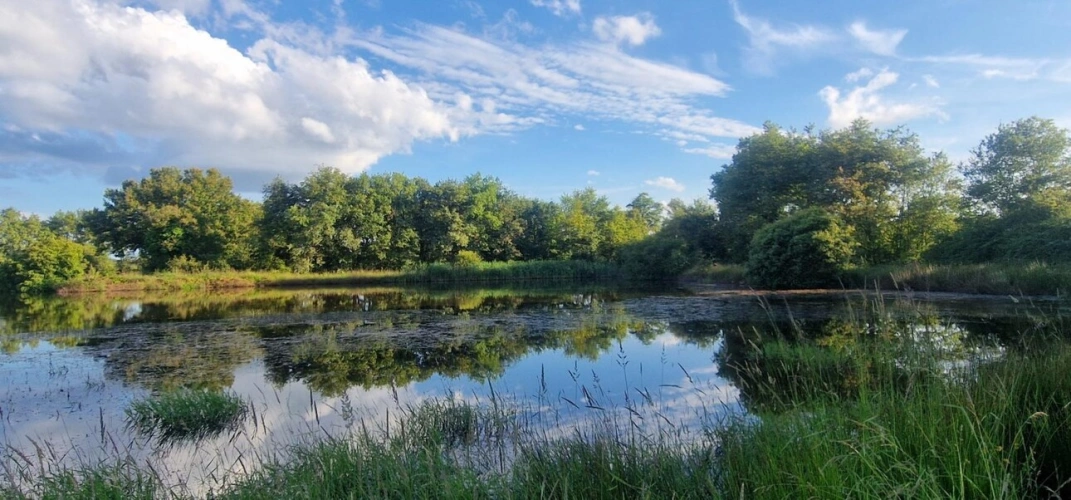 Photos 7 - Foncière - Bel étang en plein coeur de la Brenne