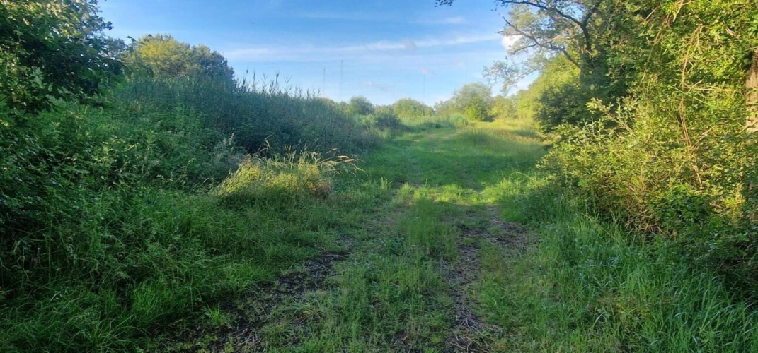 Photos 9 - Foncière - Bel étang en plein coeur de la Brenne