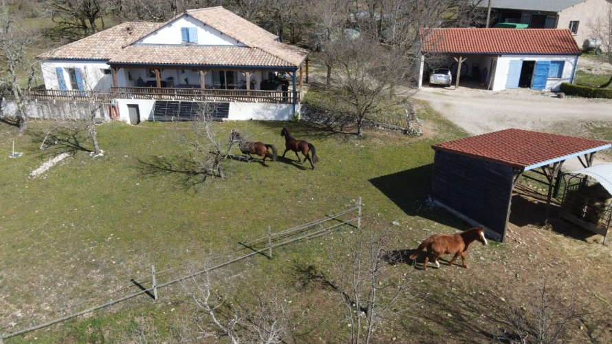Photos 1 - Équestre - 2 hectares de charme à deux pas de Lalbenque (46)