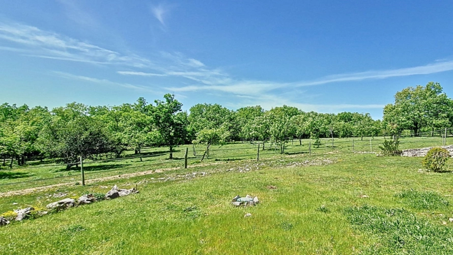 Photos 3 - Équestre - 2 hectares de charme à deux pas de Lalbenque (46)