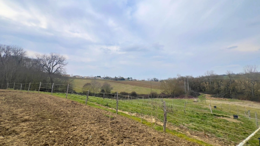 Photos 3 - Équestre - Propriété équestre de 3 hectares au cœur du Gers (32)