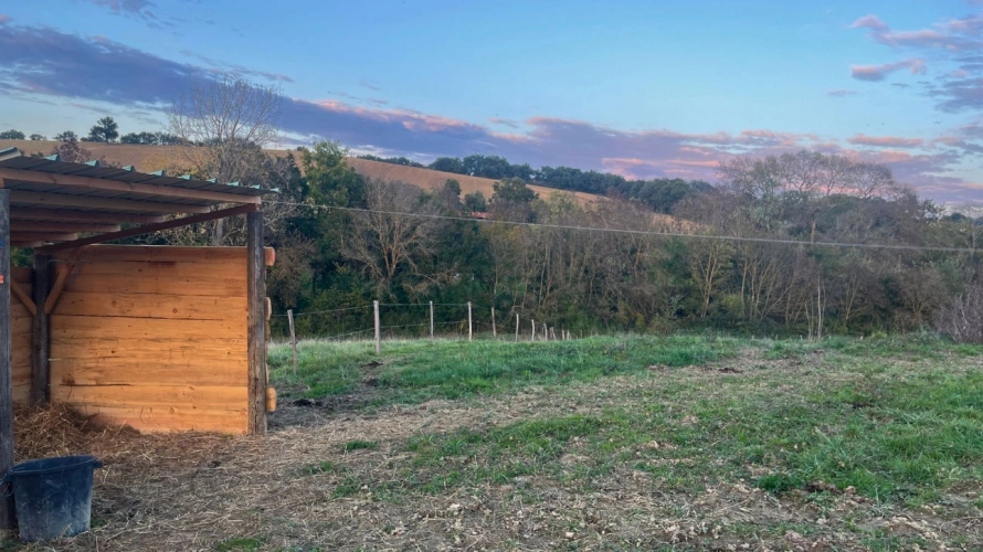 Photos 4 - Équestre - Propriété équestre de 3 hectares au cœur du Gers (32)