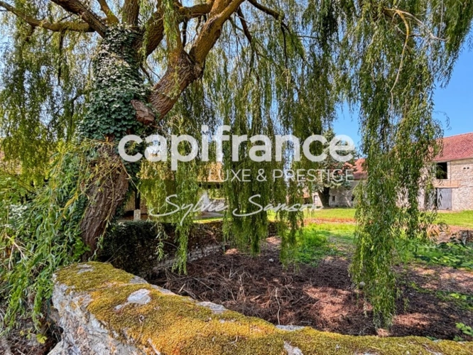 Photos 4 - Touristique - Proche Mantes-la-jolie(78)