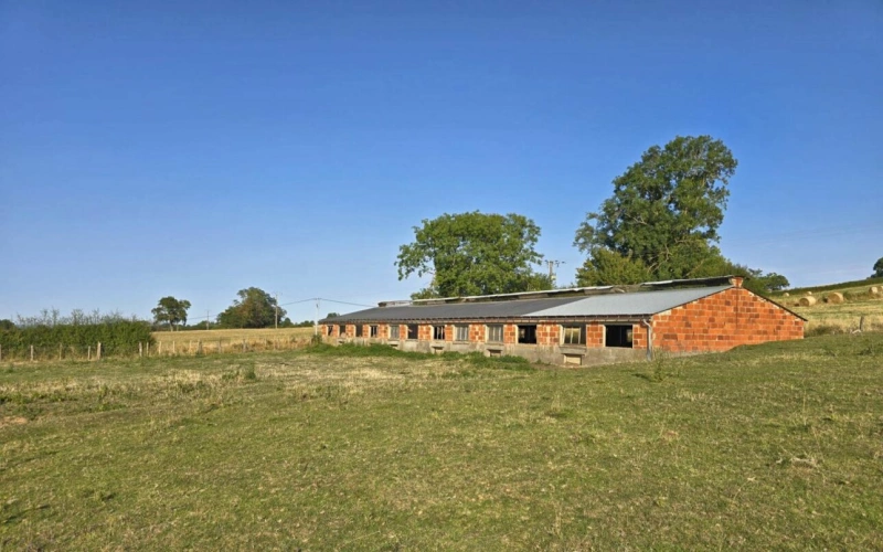 Photos 18 - Équestre - Maison rénovée en 2024 avec dépendances et 2,5 ha de prairie