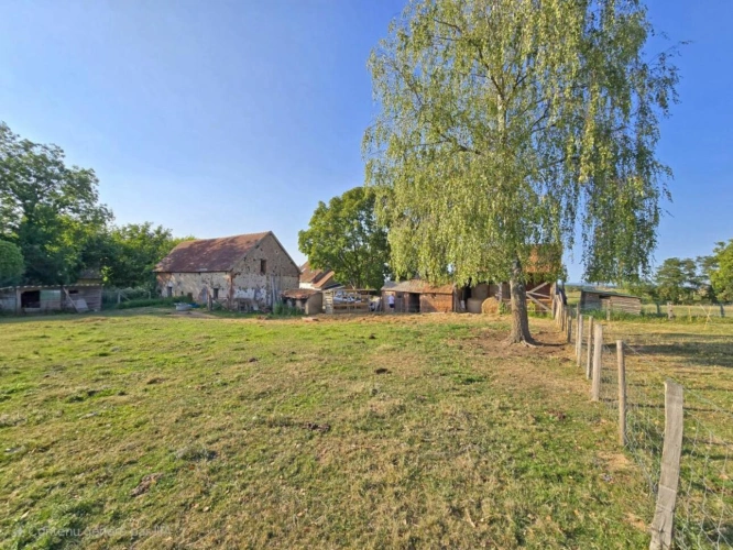 Photos 19 - Équestre - Maison rénovée en 2024 avec dépendances et 2,5 ha de prairie