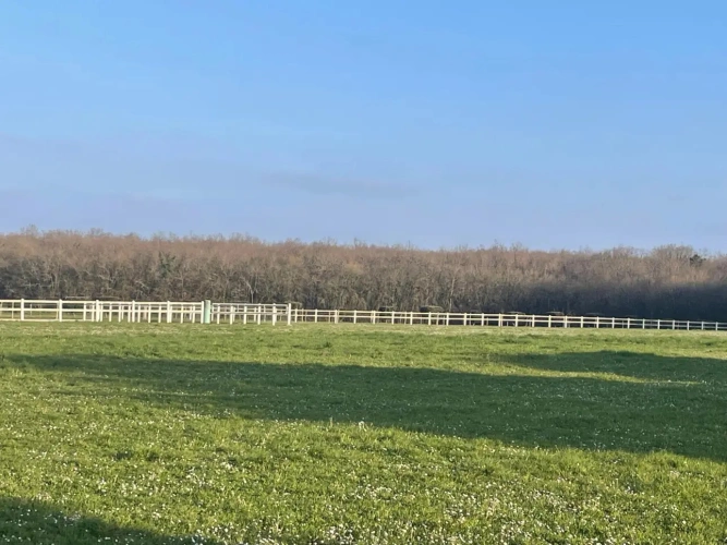 Photos 2 - Équestre - Domaine rare et polyvalent en pleine nature sur 15 ha à 10 mn de Chef-Boutonne (79)