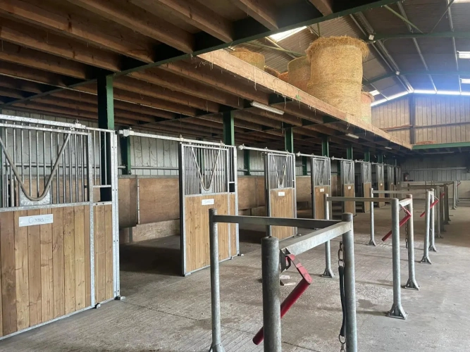 Photos 3 - Équestre - Domaine rare et polyvalent en pleine nature sur 15 ha à 10 mn de Chef-Boutonne (79)