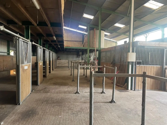 Photos 12 - Équestre - Domaine rare et polyvalent en pleine nature sur 15 ha à 10 mn de Chef-Boutonne (79)