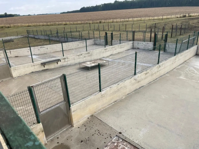 Photos 14 - Équestre - Domaine rare et polyvalent en pleine nature sur 15 ha à 10 mn de Chef-Boutonne (79)