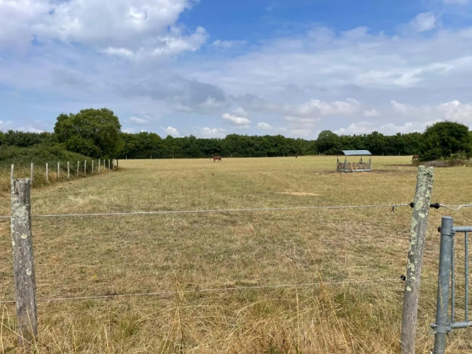 Photos 2 - Équestre - Propriété équestre à 10 min de Chef-Boutonne (79) – 334 m² habitables – 11 hectares
